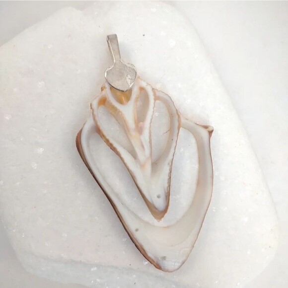 Seashell Slice Conch Pendant Glitter and Polysealed Handmade - Picture 7 of 12